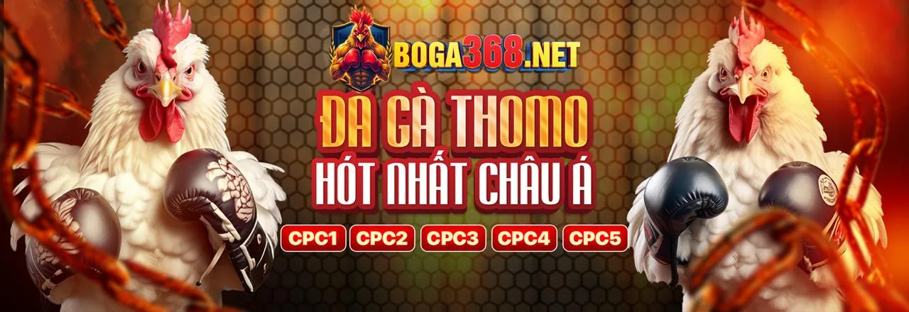 Đội ngũ chuyên gia của vin777vin link vào